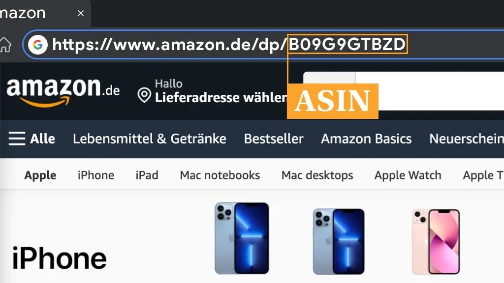 Amazon ASIN: Wissenswertes für Online-Händler