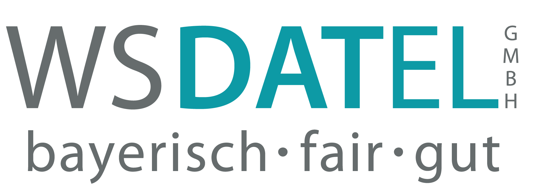 WS Datel GmbH Logo