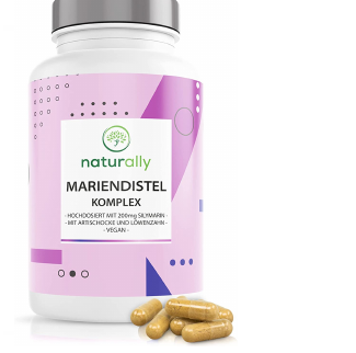 Abbildung Mariendistel