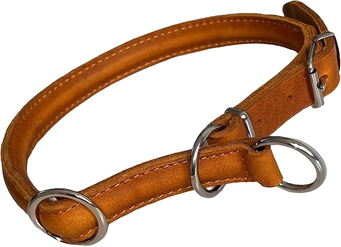Abbildung Zugstopp Hundehalsband