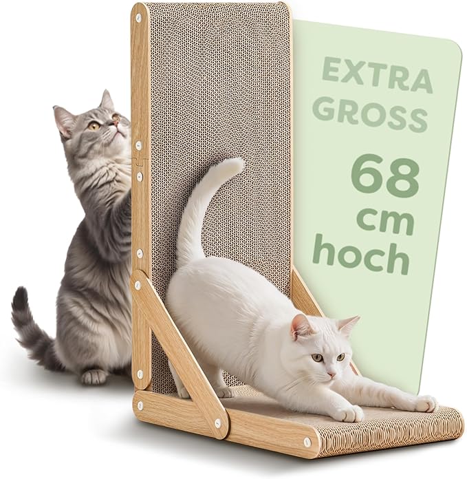 Abbildung Katze Kratzbrett