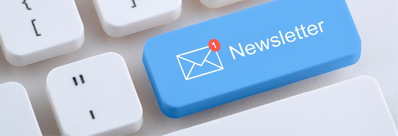 Newsletter Anmeldung des Deutschen Instituts für Verbraucherschutz